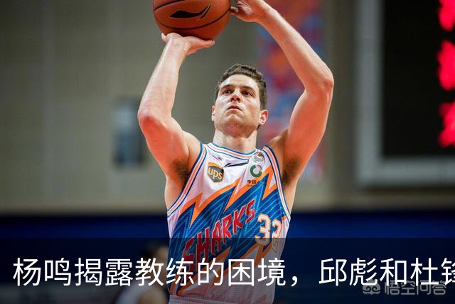 杨鸣揭露教练的困境，邱彪和杜锋的小团队行为是否成为自保策略？