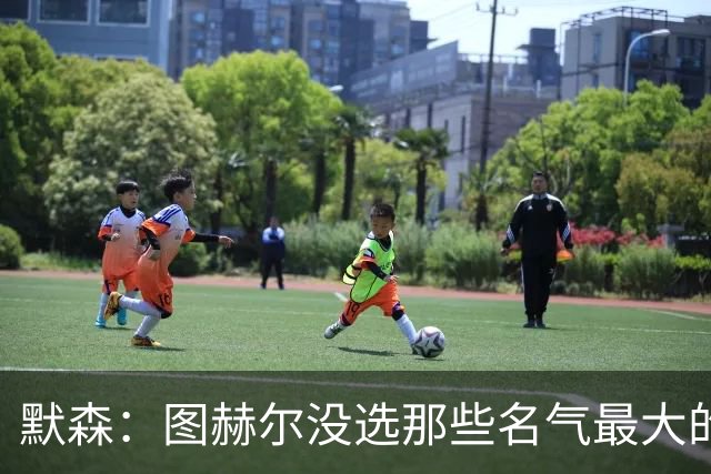 默森：图赫尔没选那些名气最大的球员，而是最适合他战术的